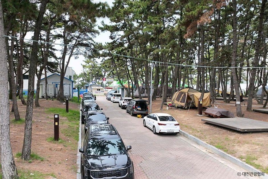 보령_대천해수욕장캠핑장 (1).jpg
