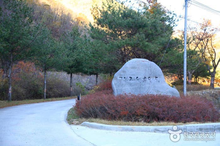 경북_의성_금봉자연휴양림02
