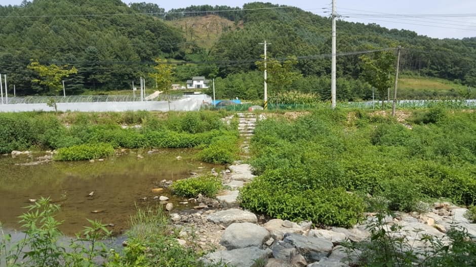 충북_청주_대덕숲유원지_풍경4