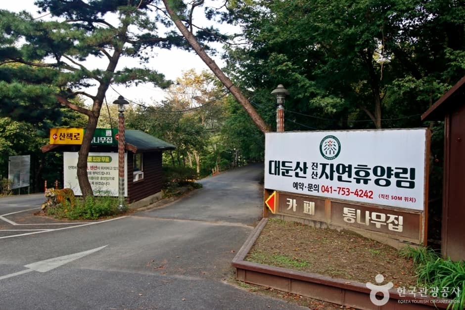 대둔산자연휴양림 (14)