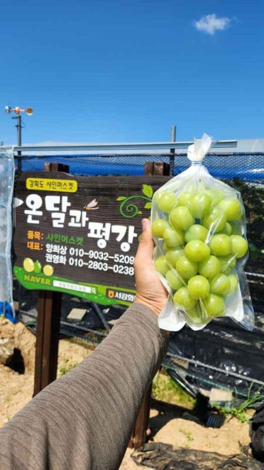 강화_온달과평강농원(7)