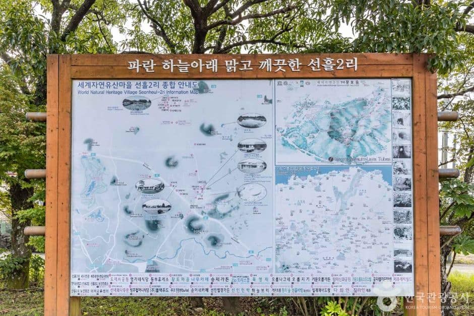 제주_제주_선흘2리마을 (1)