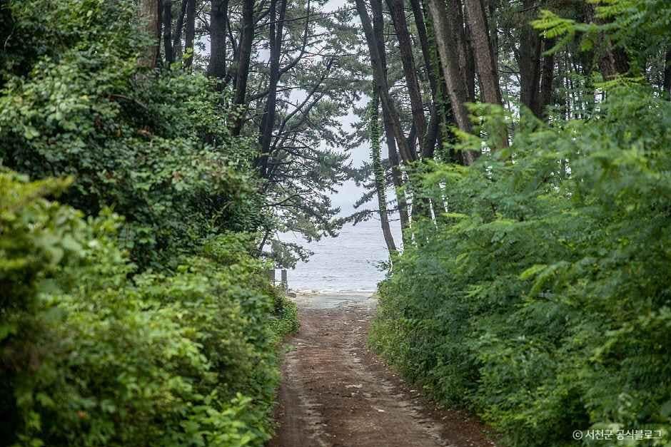 서천_띠섬목해변 (1)