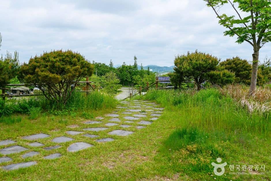 함평_억새밸리존 (1)