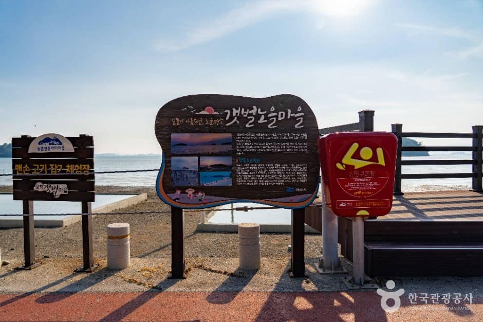 여수_여자만갯벌 (6)