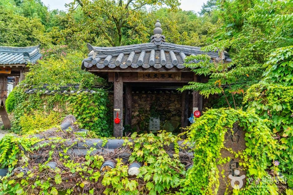 구례_당몰샘 (9)