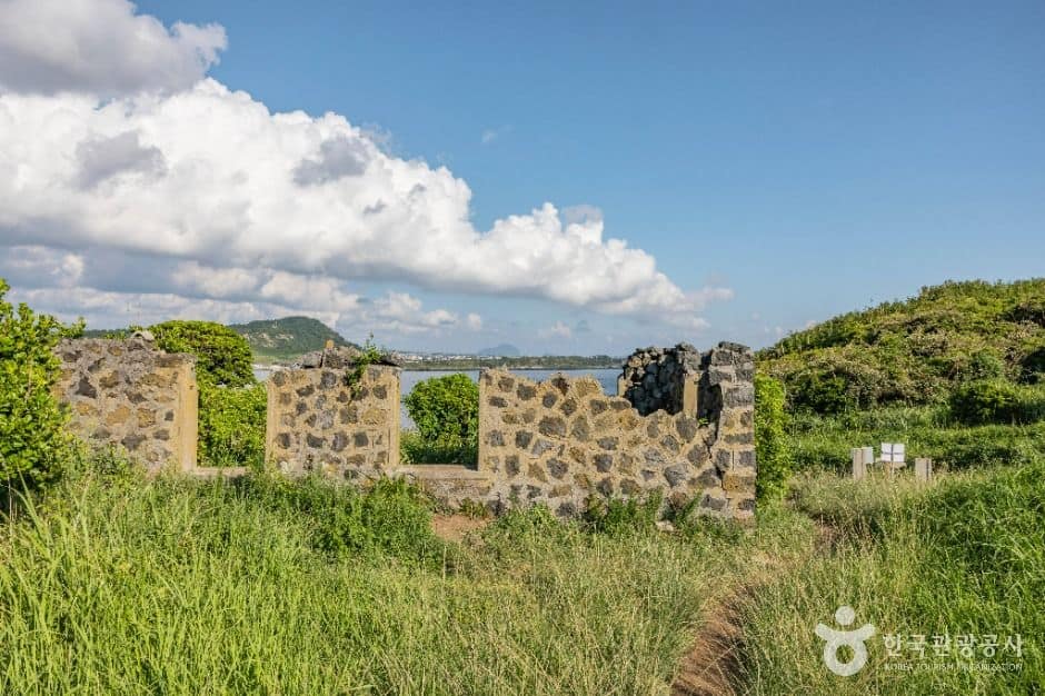 제주_차귀도 (7)