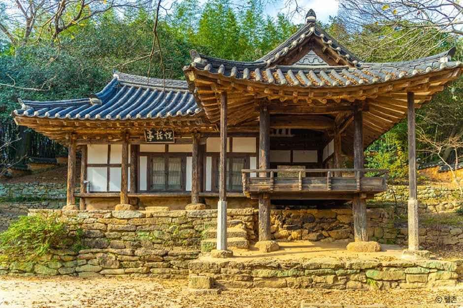 보성_보성 강골마을 (2).jpg