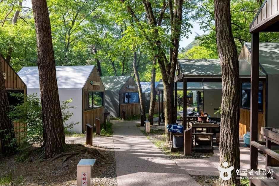 제천_월악산 국립공원 닷돈재야영장 (6).jpg
