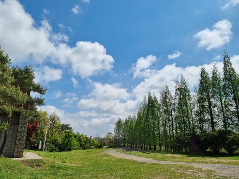 서산_삼원레져타운캠핑장 (8).jpg
