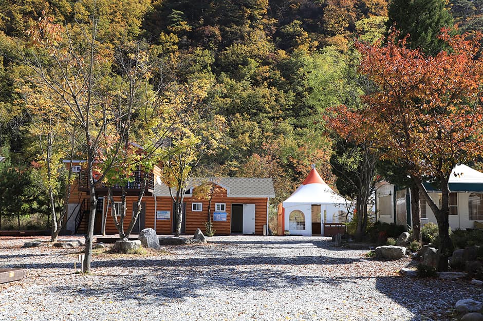정선애 펜션 캠핑장_전경