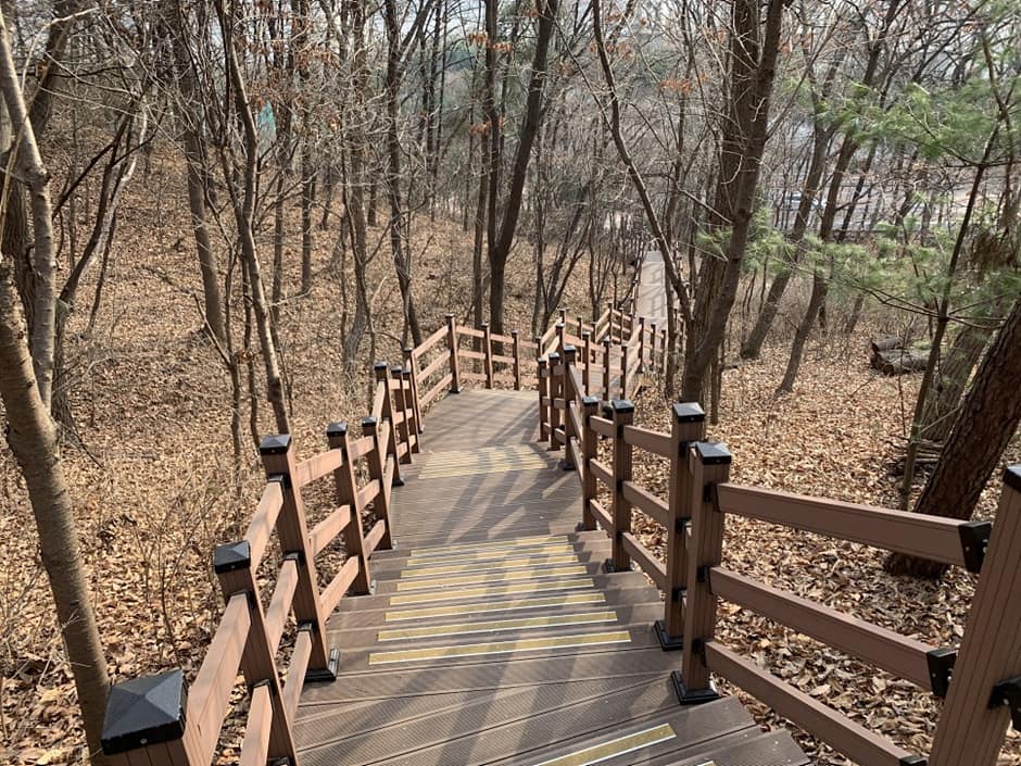 경기도_용인시_정암수목공원_산책데크