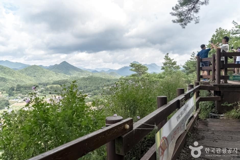오간재전망대 (14)
