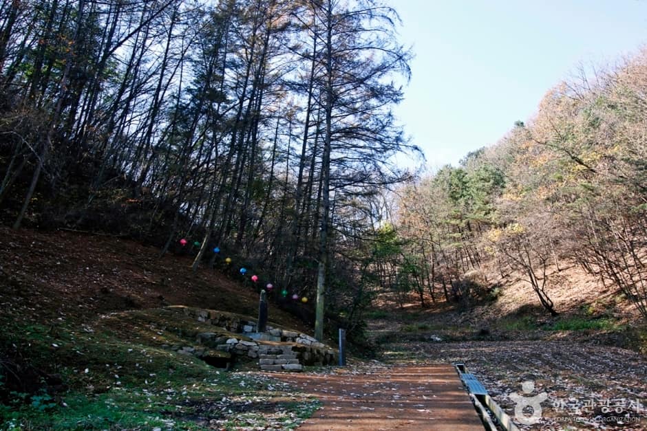 충주 강천리 석불입상 (16)