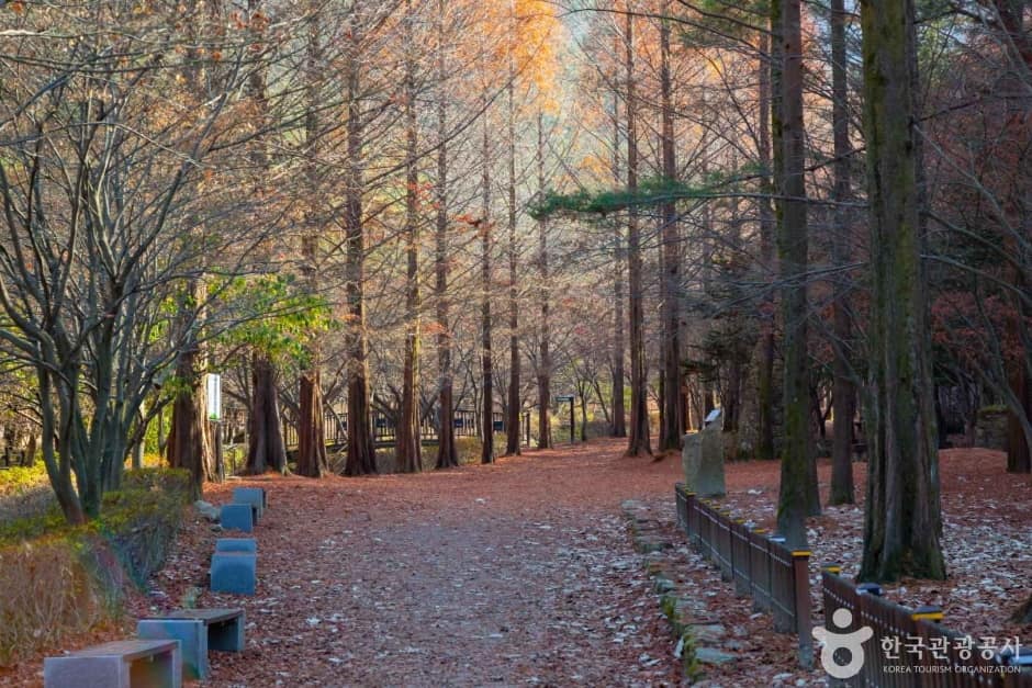 상소동 산림욕장 (9)