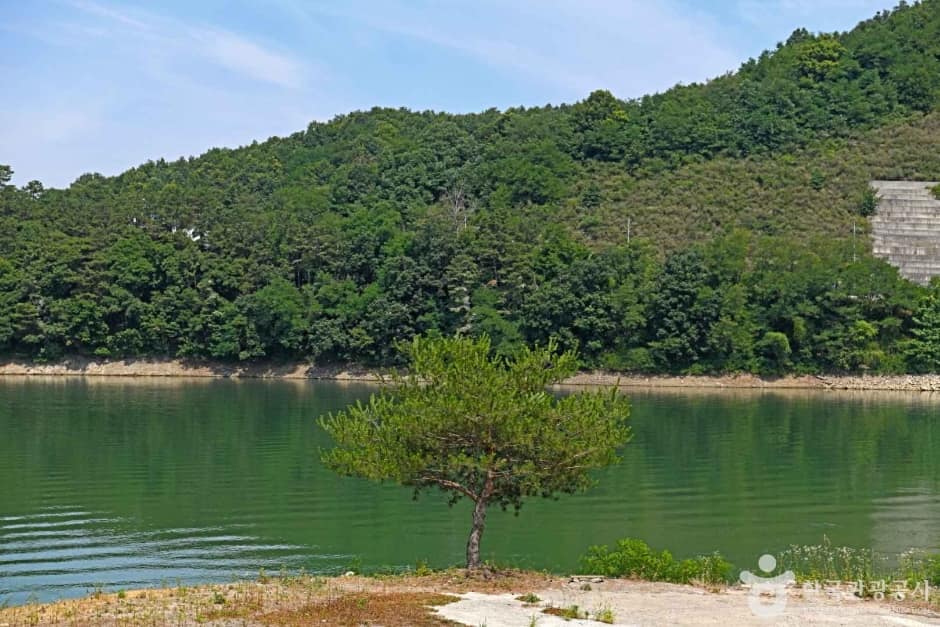 삼형제저수지 (7)