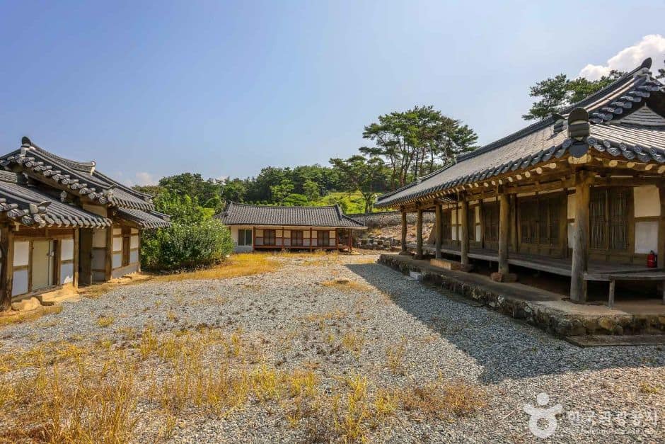 오남제 (5)