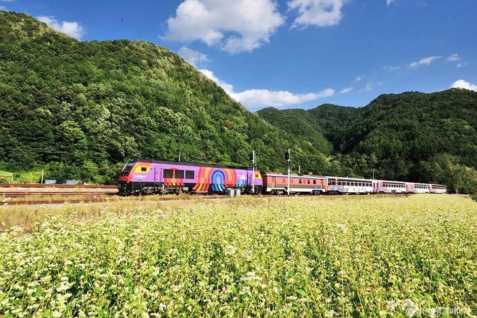 정선_정선아리랑열차(A-train) (4)