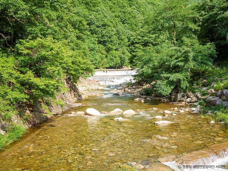 영천_치산계곡 (8)