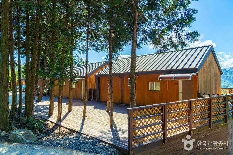 하동_하동 편백자연휴양림 (9)