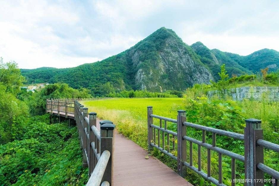 충북 영동 가볼만한곳, 영동 축제 영동난계국악축제, 레인보우힐링센터, 과일나라테마공원, 와인터널, 월류봉 5-7