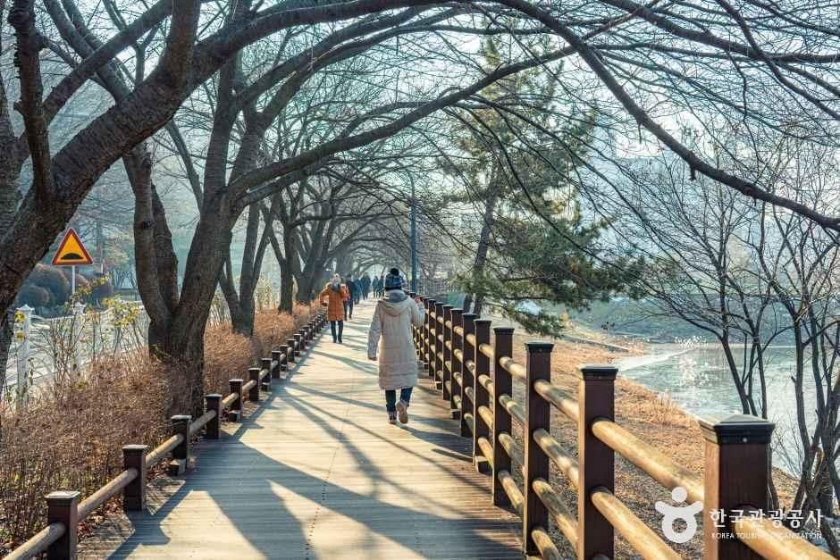 수원_광교마루길 (5).jpg