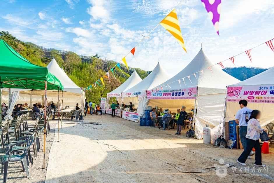 춘천_부귀리벚꽃길 (6).jpg