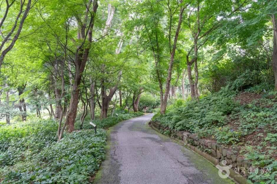 용인_한택식물원 (2).jpg