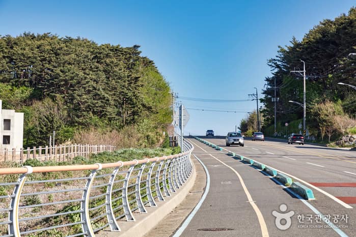 해파랑길 43코스 5