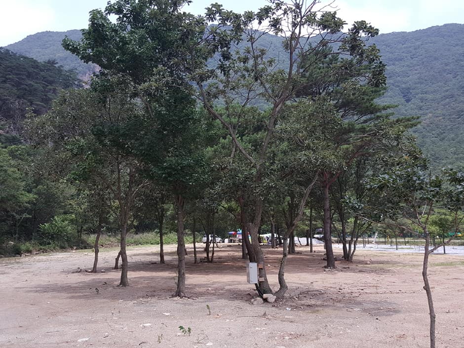 충북_괴산군_솔밭캠프_풍경5
