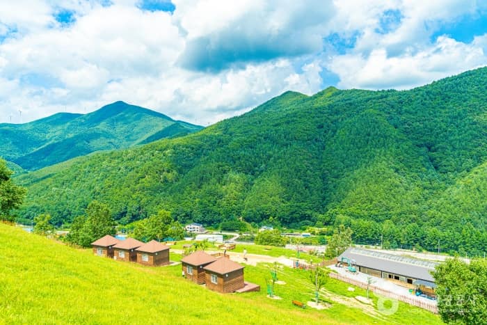 열대야는 없고 별은 있다! '청정고원' 태백으로 떠나는 은하수 여행_몽토랑산양목장 04