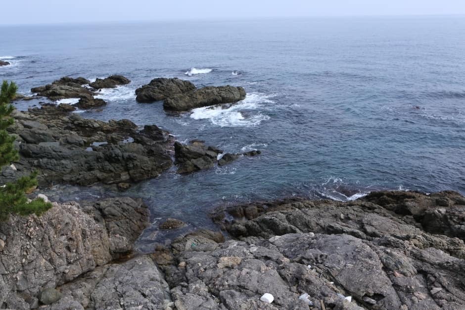 영덕 대부정합_3_국가지질공원