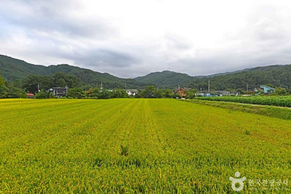 강릉 해살이마을 (1)