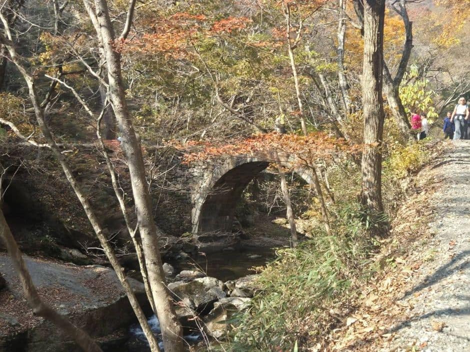 241116_순천_선암사계곡_계곡 (4)