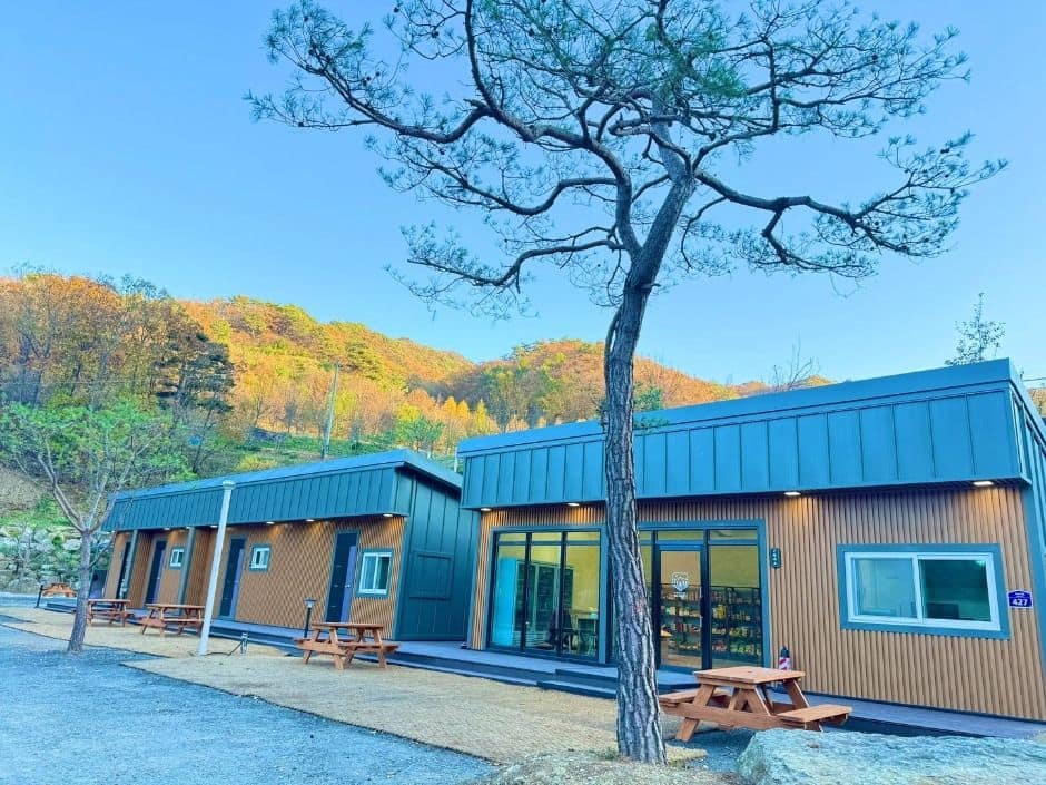 홍천_오도치캠핑장 (1)