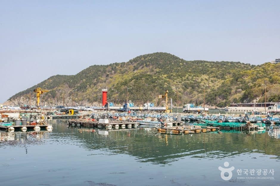 부산_대항선착장 (2)