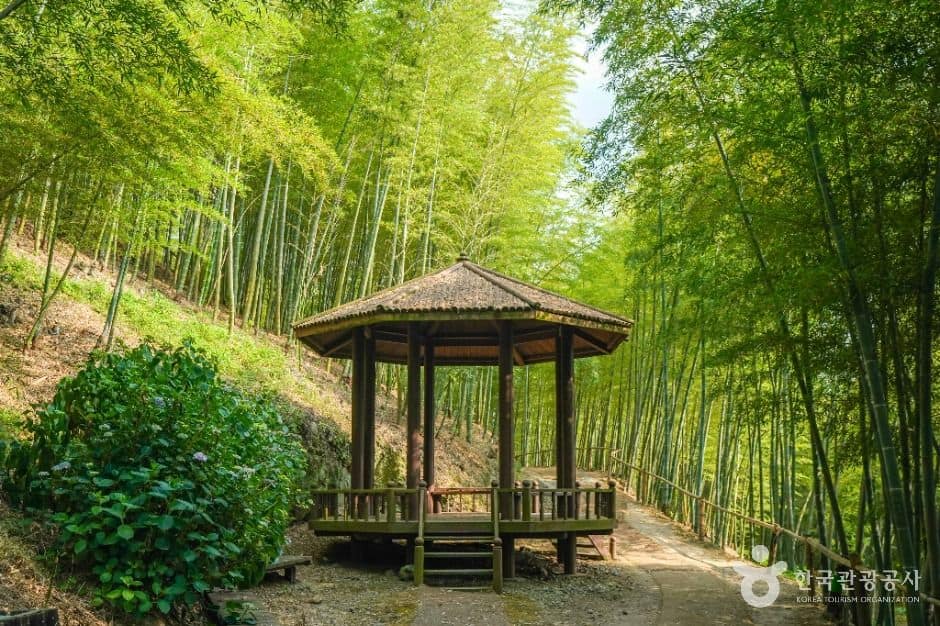 거제_거제맹종죽테마공원 (1)