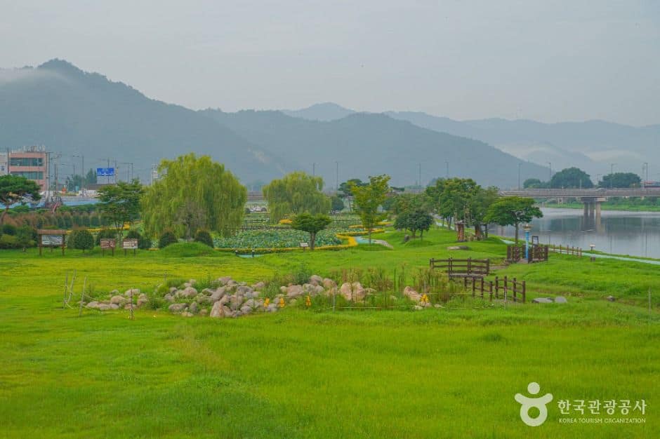 장흥_탐진강 (1)