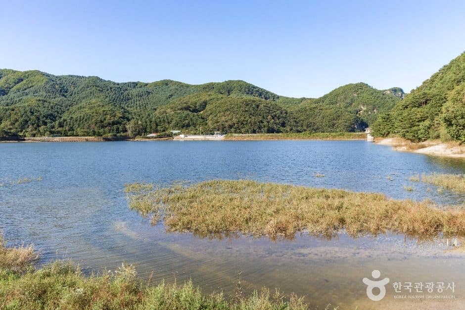 철원_용화저수지 (1)