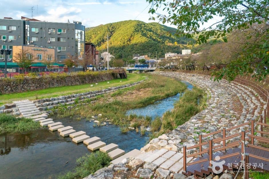 충주_수안보온천 관광특구 (1)