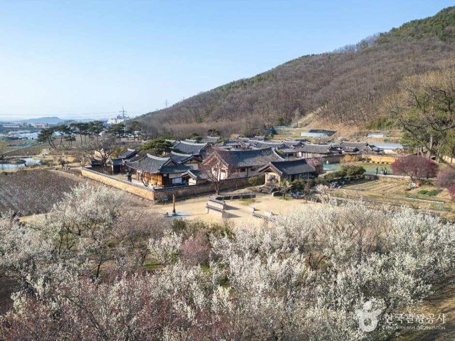 달성_남평문씨본리세거지 (2)