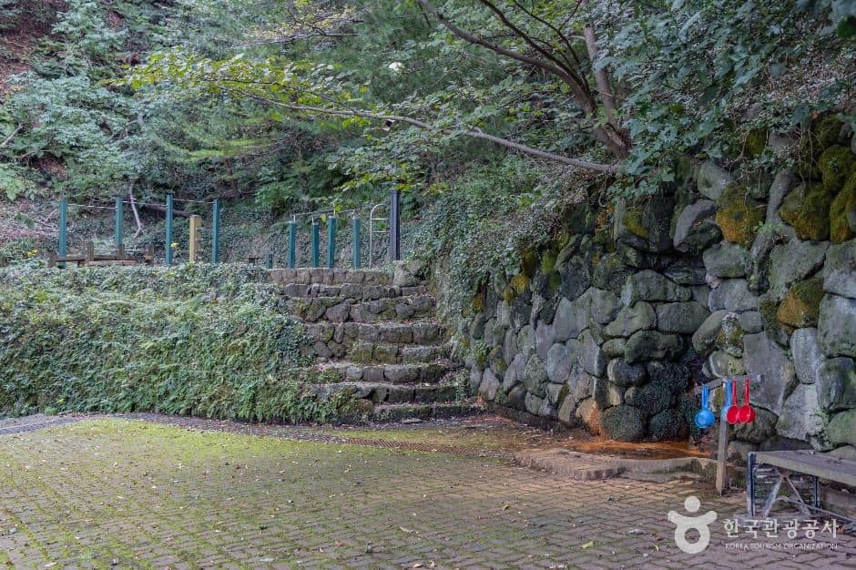 울릉_도동약수공원 (3)