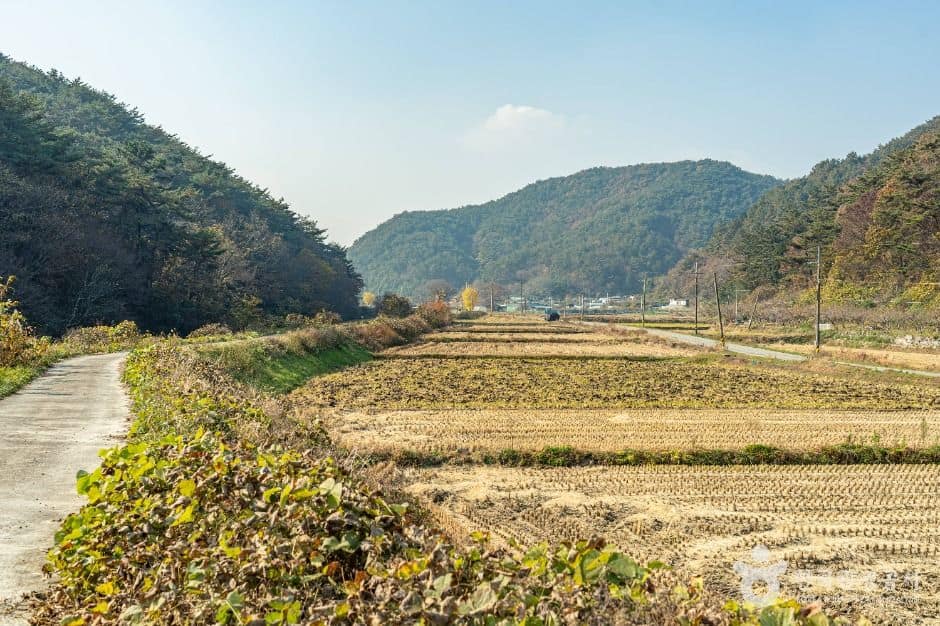 화순_봉하산촌마을 (1)