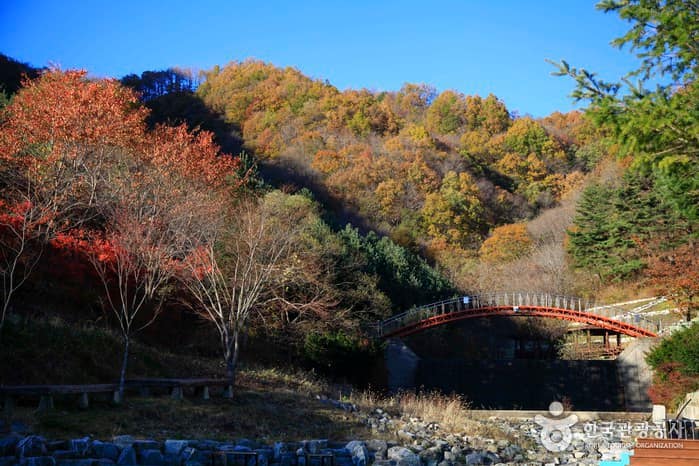 경북_의성_금봉자연휴양림05