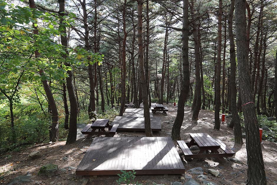 국립칠보산자연휴양림_사이트1