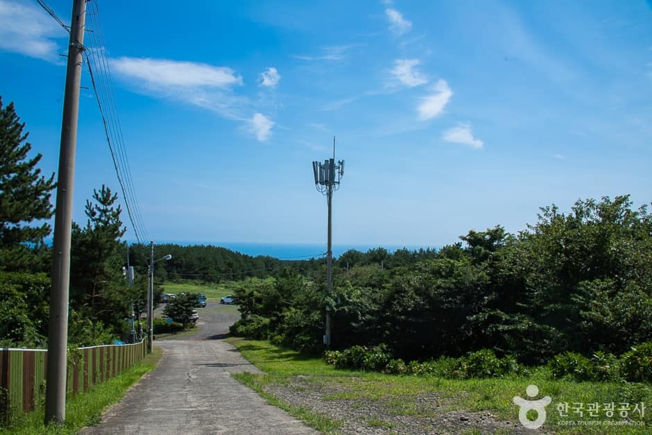 편백포레스트 (2)