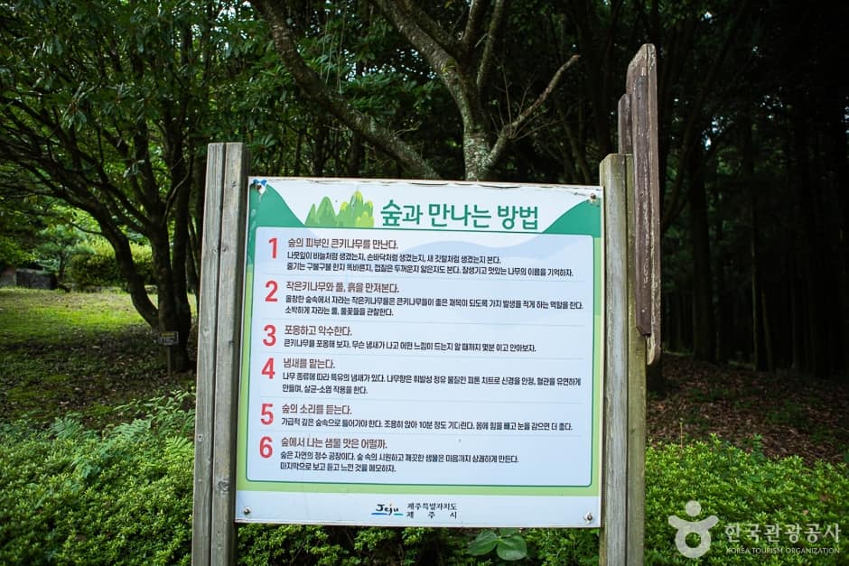 장생의숲길(8)