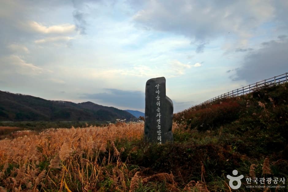봉황경(능암리섬) (3)