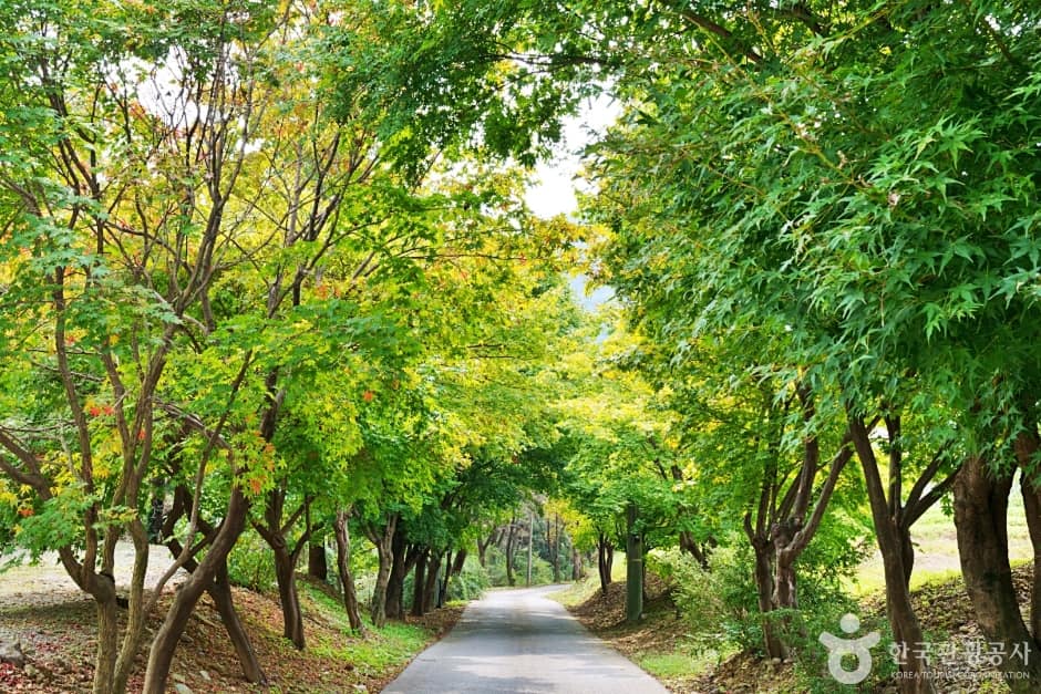 보타사(증평) (1)