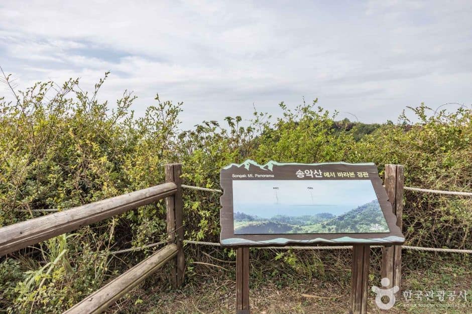 제주_송악산전망대 (10)
